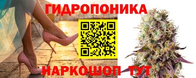 марки nbome Заводоуковск