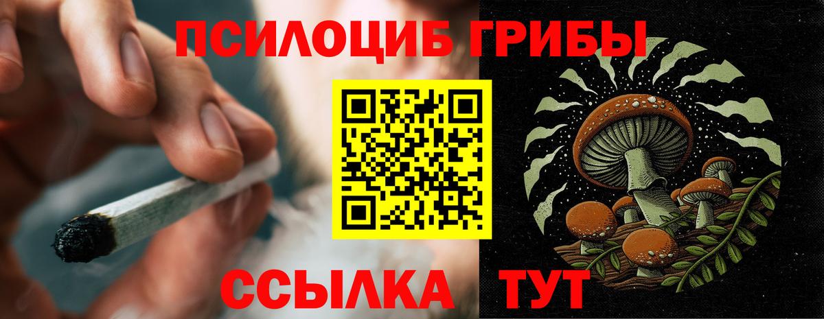 Псилоцибиновые грибы MAGIC MUSHROOMS  Вход с VPN  Луховицы 