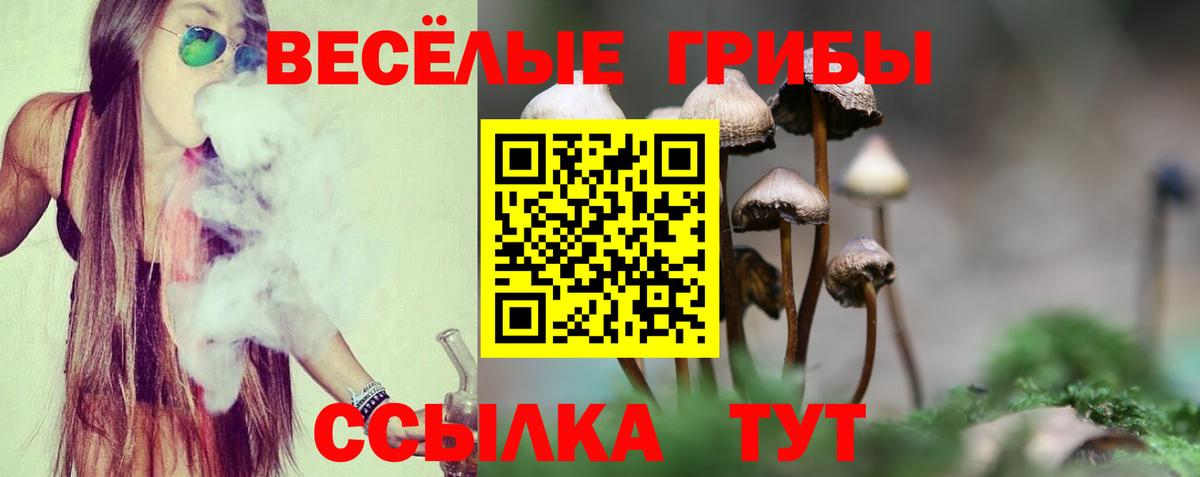 Псилоцибиновые грибы Psilocybe Луховицы